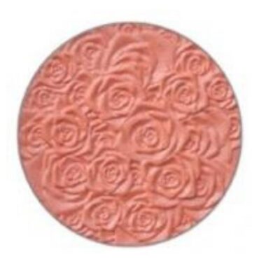 REVERS COSMETICS - PURE MINERAL BLUSH -10 SHADE 700 X 700